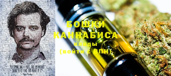 амф Дмитров